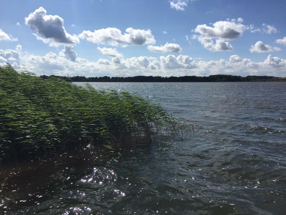 Exklusive Ferienwohnungen Im Gutshaus Viezen Bernitt Bagian luar foto